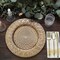 GOLD 6 Plastic 13" Round CHARGER PLATES Embossed Peacock Pattern